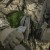 10347002-109 (7).jpeg