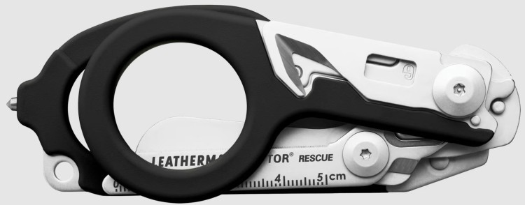 Raptor 1a.jpg