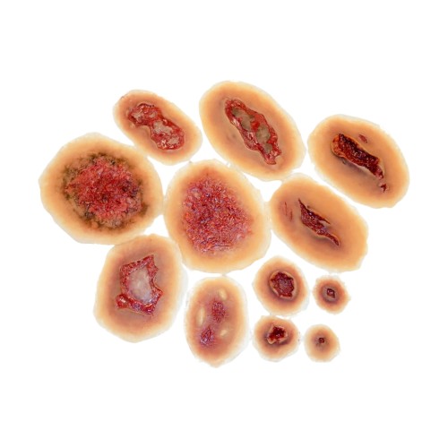 Zestaw-samoprzylepnych-ran-Techline-Self-Adhesive-Wounds™-Kit.jpg